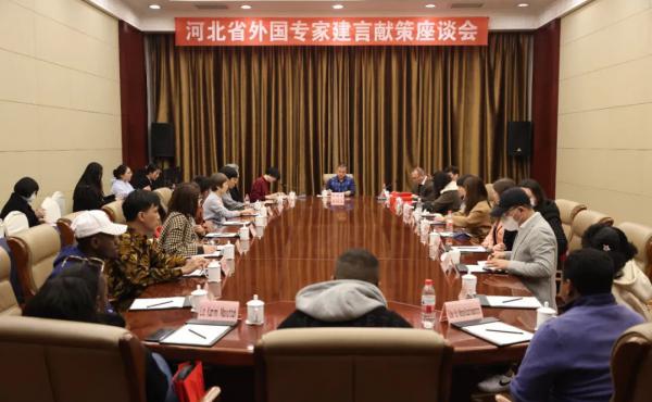 感受中国文化建言献策座谈会顺利举行