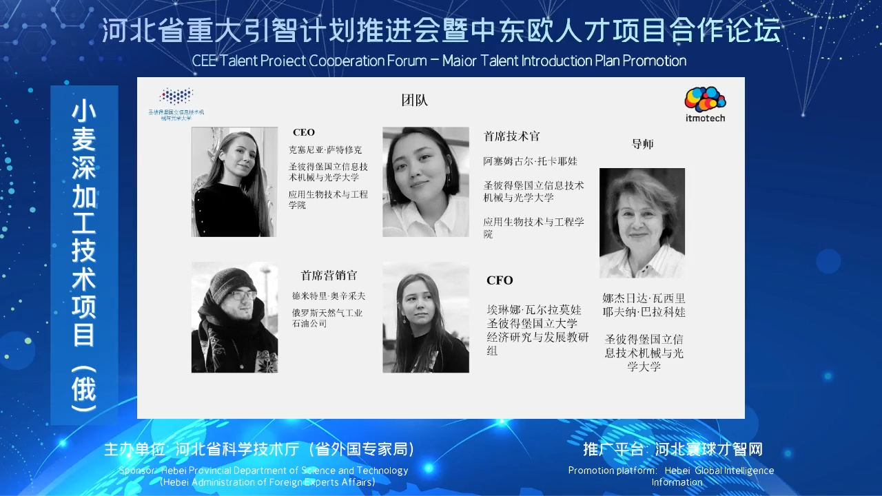 小麦深加工技术项目（俄）